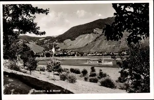Ak Sennheim an der Mosel, Panorama mit Mosel, Moseldampfer
