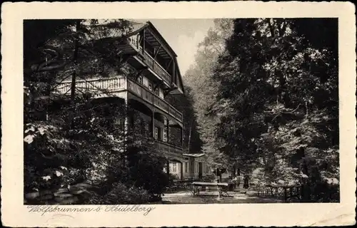 Ak Schlierbach Heidelberg, Gasthaus Wolfsbrunnen