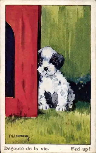 Künstler Ak Sternberg, V. W., kleiner trauriger Hund, dégouté de la vie
