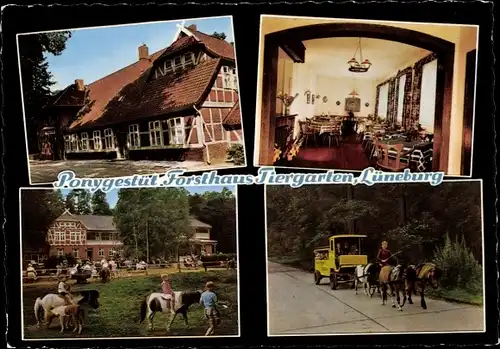 Ak Lüneburg in Niedersachsen, Ponygestüt Forsthaus Tiergarten, Ponyreiten, Kutsche