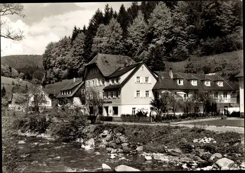 Ak Schönmünzach im Murgtal Baiersbronn im Schwarzwald, Pension Elisabeth