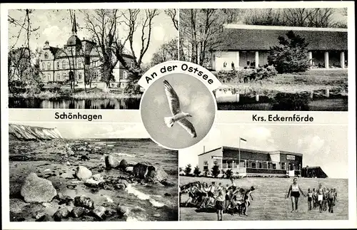 Ak Ostseebad Schönhagen, Möwe, Strandpartie, Schloss