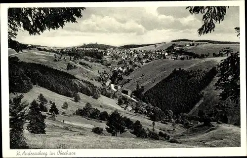 Ak Sankt Andreasberg Braunlage im Oberharz, Gesamtansicht