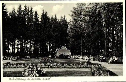 Ak Sankt Andreasberg Braunlage im Oberharz, Kurpark