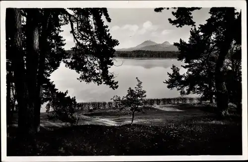 Ak Staré Splavy Thammühl Doksy Hirschberg am See Region Reichenberg, Seepartie