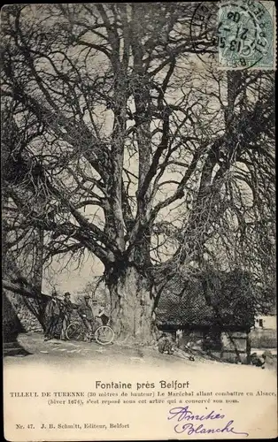 Ak Belfort Beffert Beffort Territoire de Belfort, Fontaine, Tilleul de Turenne, Baum