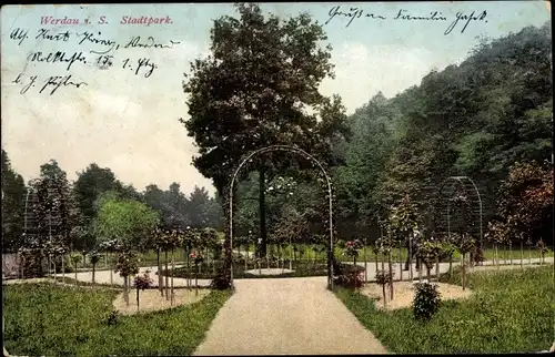 Ak Werdau in Sachsen, Rosengarten im Stadtpark, Bäume