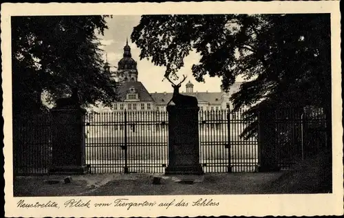 Ak Neustrelitz in Mecklenburg Vorpommern, Blick vom Tiergarten auf das Schloss