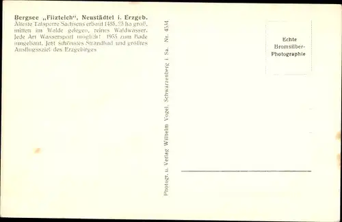 Ak Neustädtel Schneeberg im Erzgebirge, Bergsee Filzteich