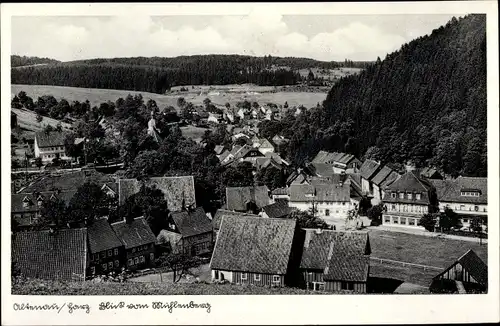 Ak Altenau Oberharz, Blick vom Mühlenberg auf den Ort 