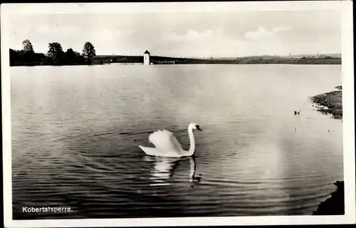 Ak Werdau in Sachsen, Koberbach Talsperre, Turm, Blick auf Wasser mit Schwan