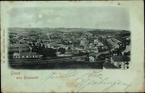 Mondschein Ak Roßwein in Sachsen, Gesamtansicht bei Nacht