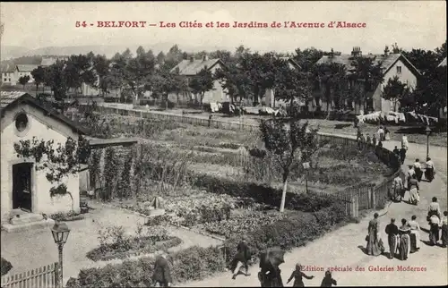 Ak Belfort Beffert Beffort Territoire de Belfort, les Cités et les Jardins de l'Avenue de l''Alsace