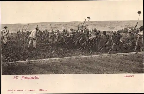 Ak Moçâmedes Mossamedes Angola, Lavoura, einheimische Feldarbeiter