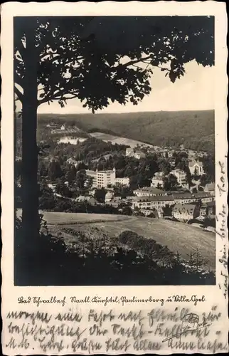 Ak Bad Schwalbach im Taunus, Staatl. Kurhotel, Paulinerberg und Villa Opel