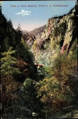 Ak Thale im Harz, Bodethal, Partie an der Teufelsbrücke