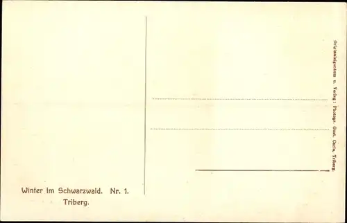Ak Triberg im Schwarzwald, Ansicht der Häuser im Winter