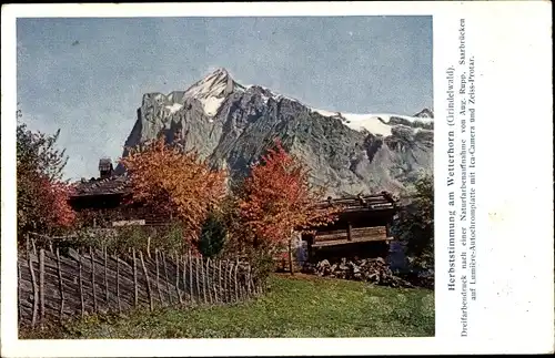 Ak Grindelwald Kanton Bern, Wetterhorn, Alm, Holzhäuser