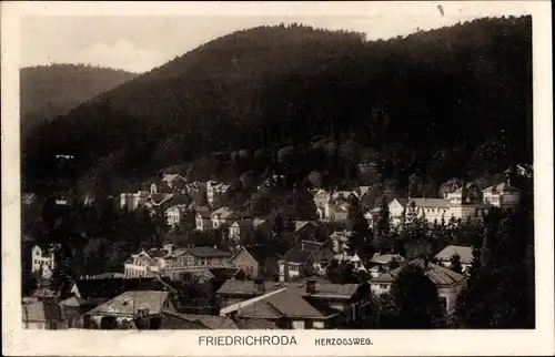 Ak Friedrichroda im Thüringer Wald, Herzogsweg