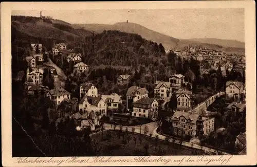 Ak Blankenburg am Harz, Blick vom Schlossberg auf den Ziegenkopf