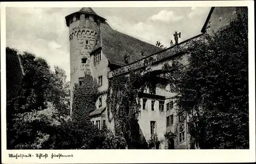 Ak Michelstadt im Odenwald Hessen, Schloss Fürstenau