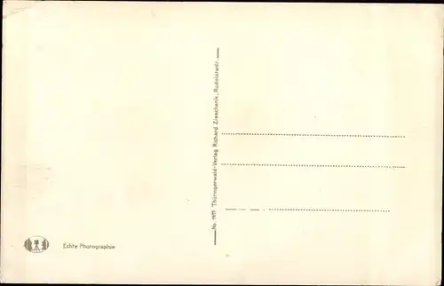 Ak Blankenburg Thüringen, Ortschaft mit d. Greifenstein