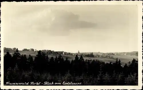 Ak Frauenwald am Rennsteig Ilmenau in Thüringen, Blick vom Eselshaupt