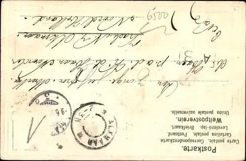 Ak Mainz am Rhein, Totalansicht, Salondampfer