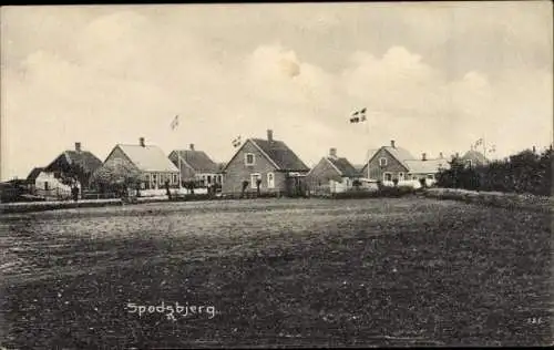Ak Spodsbjerg Dänemark, Ortspartie, Wohnhäuser