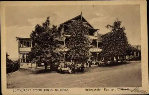 Ak Stecklenberg Thale im Harz, Gebirgshotel