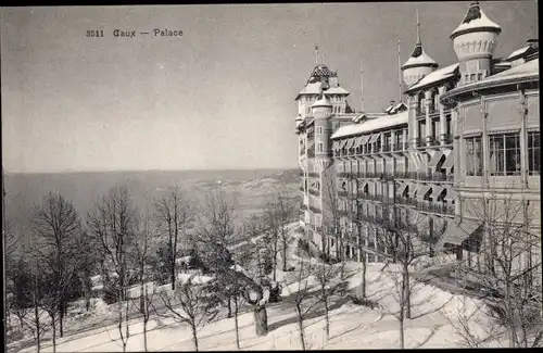 Ak Caux Montreux Kanton Waadt, Palace