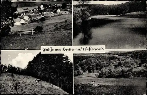 Ak Breitenau im Westerwald, Blick auf den Ort, Landschaft