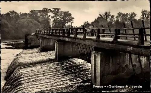 Ak Dessau in Sachsen Anhalt, Gestänge Muldewehr