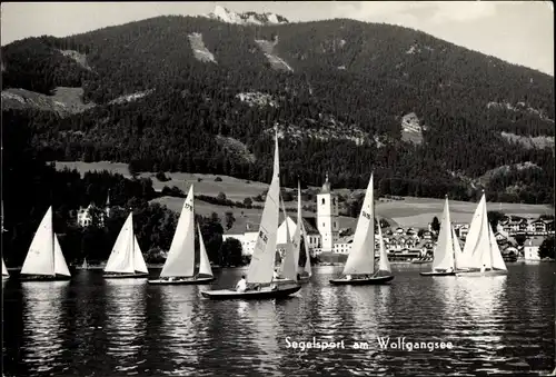 Ak Wolfgangsee in Salzburg, Segelsport, Segelboote