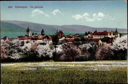 Ak Estavayer Kanton Freiburg, Vue generale