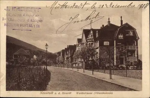 Ak Neustadt an der Haardt Neustadt an der Weinstraße, Villenkolonie, Waldstraße