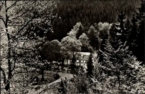 Ak Eiserfeld Siegen Nordrhein Westfalen, Hof Obere Hengsbach, Panorama