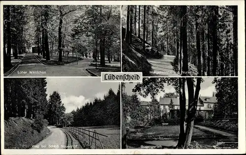 Ak Lüdenscheid im Märkischen Kreis, Loher Wäldchen, Rosengarten, Weg bei Schloss Neuenhof