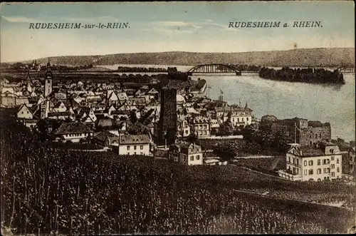 Ak Rüdesheim am Rhein, Gesamtansicht