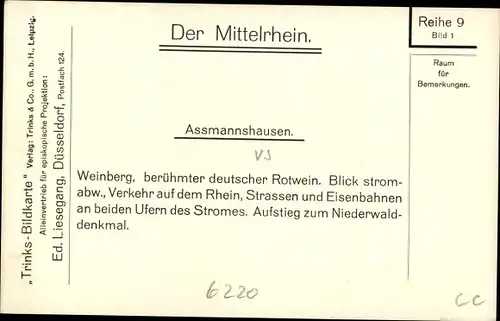 Ak Assmannshausen Rüdesheim am Rhein in Hessen, Gesamtansicht