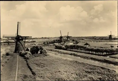 Ganzsachen Ak Alblasserwaard Südholland, Molenpanorama