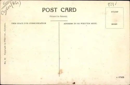 Ak Kalutara Sri Lanka Ceylon, Banyan Tree