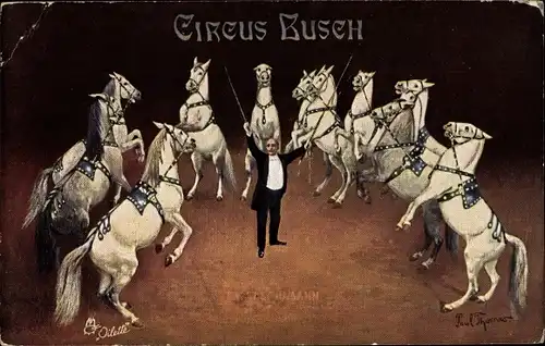Künstler Ak Thomas, Paul, Zirkus Busch, Pferdedresseur, Tuck