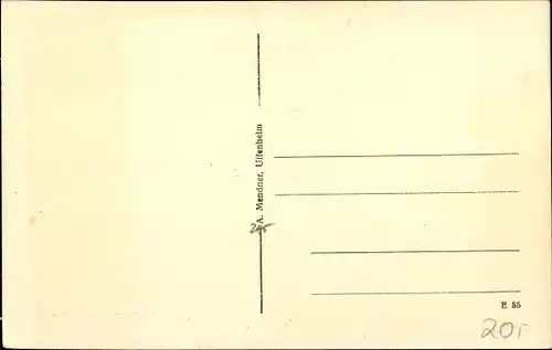 Ak Gollhofen in Mittelfranken, Gastwirtschaft zur Krone*, Dorfpartie, Handlung**