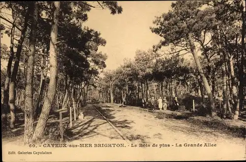 Ak Cayeux sur Mer Somme, Brighton, Le Bois de pins, La Grande Allee