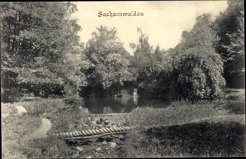 Ak Sachsenwaldau Reinbek in Schleswig Holstein, Partie im Park, Wasserfall