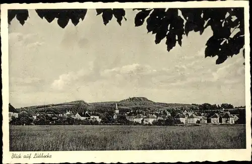 Ak Lübbecke in Westfalen, Totalansicht