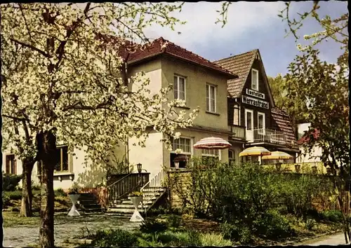 Ak Hann. Münden in Niedersachsen, Hotel Pension Werrastrand