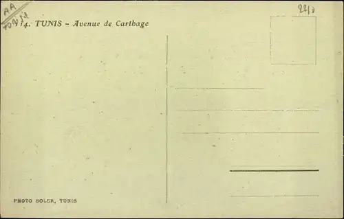 Ak Tunis Tunesien, Avenue de Carthage