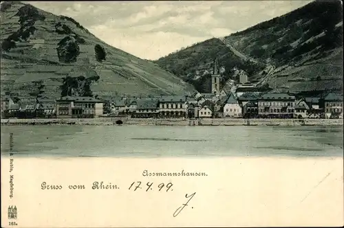 Ak Assmannshausen Rüdesheim am Rhein, Panorama